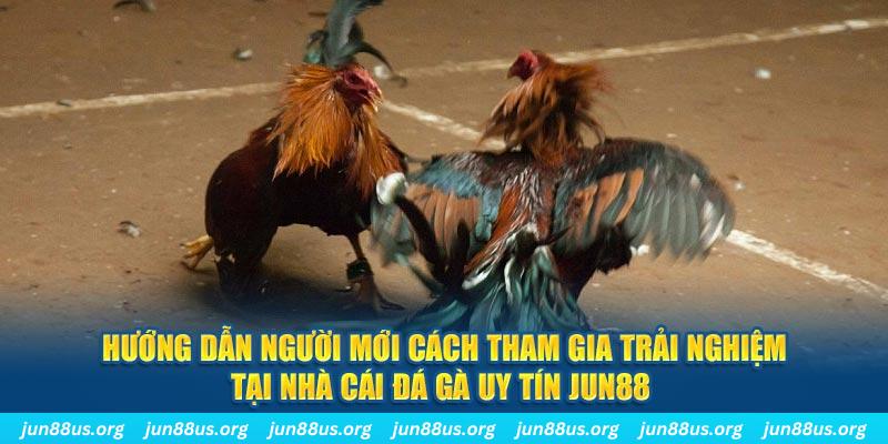hot51 CQ9 Điện Tử