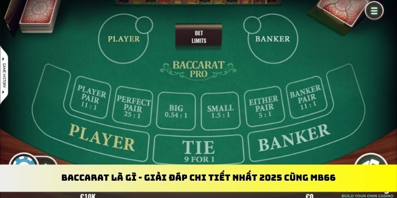 hot51 gà chọi cu cần