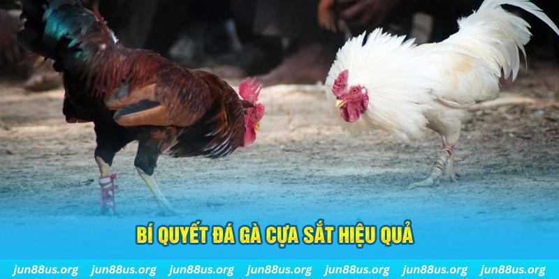 hot51 xin 1 slot là gì