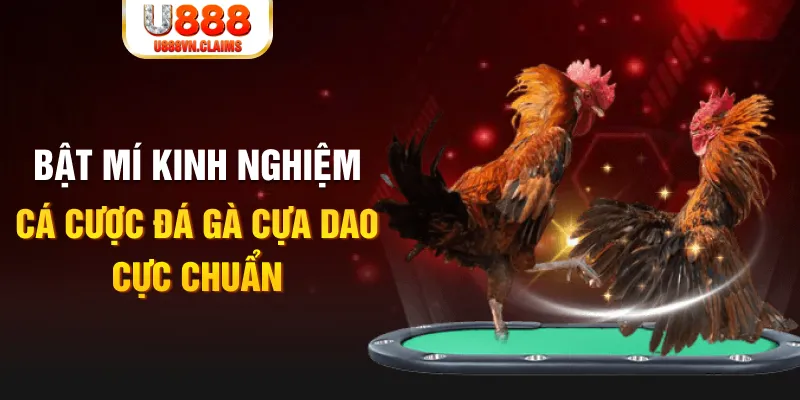 hot51 tỷ lệ cá cược châu á là gì