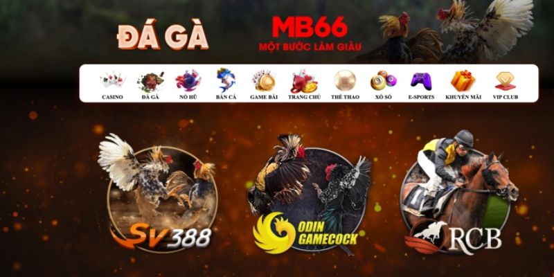 hot51 đăng nhập poker số 1