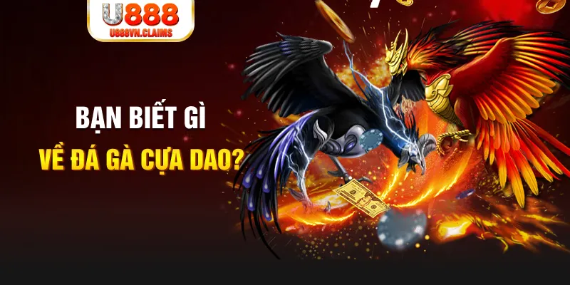 hot51 nổ hủ là gì