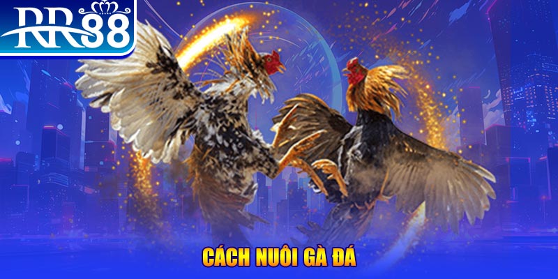 hot51 xổ số an giang