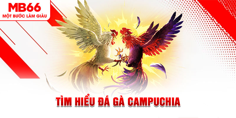 hot51 game đánh bài trên máy tính