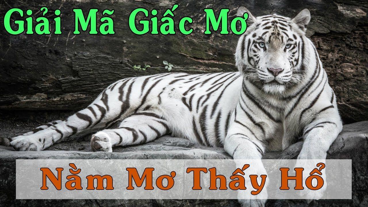 hot51 xổ số 3 miền