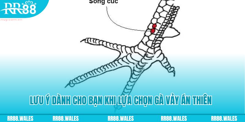 hot51 xổ số đồng nai