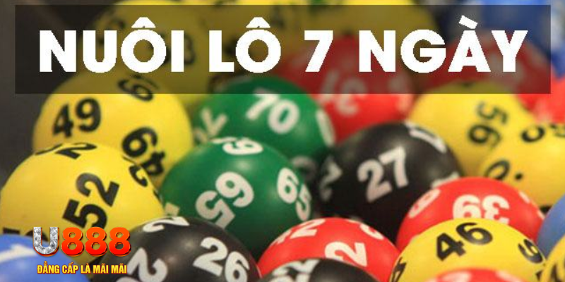 hot51 slot là j