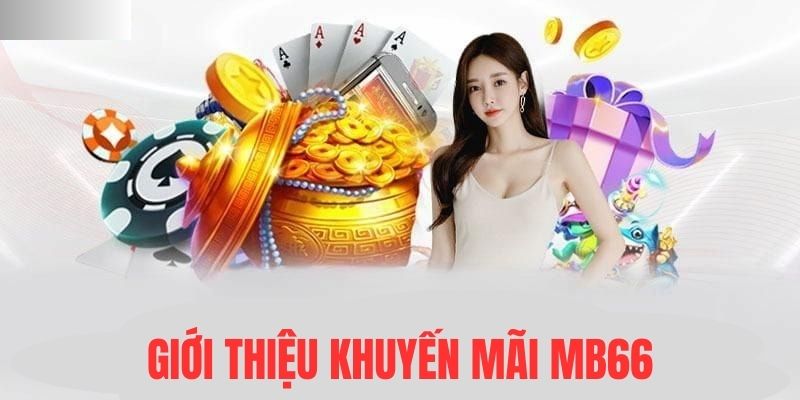 hot51 Đĩa màu ace