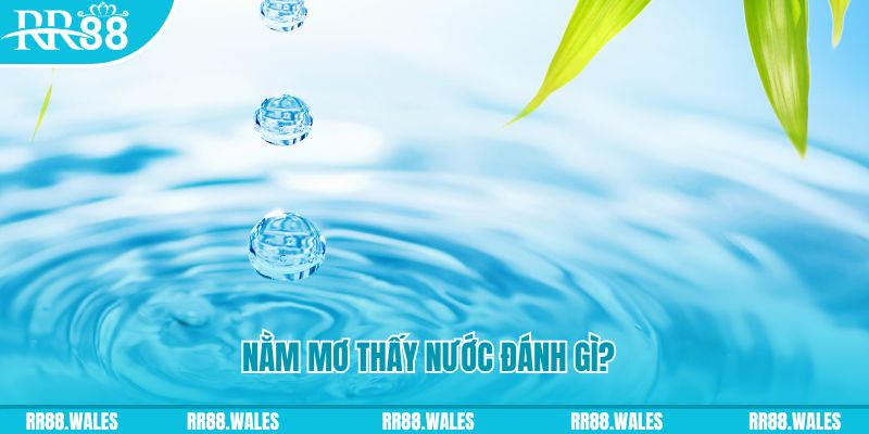 hot51 TP Bắn cá