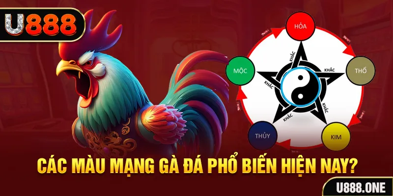 hot51 trực tiếp đá gà 88