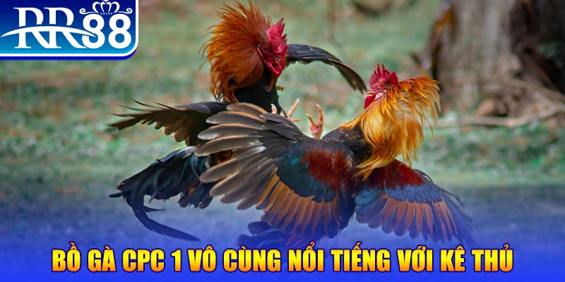 hot51 game máy bay nổ hũ