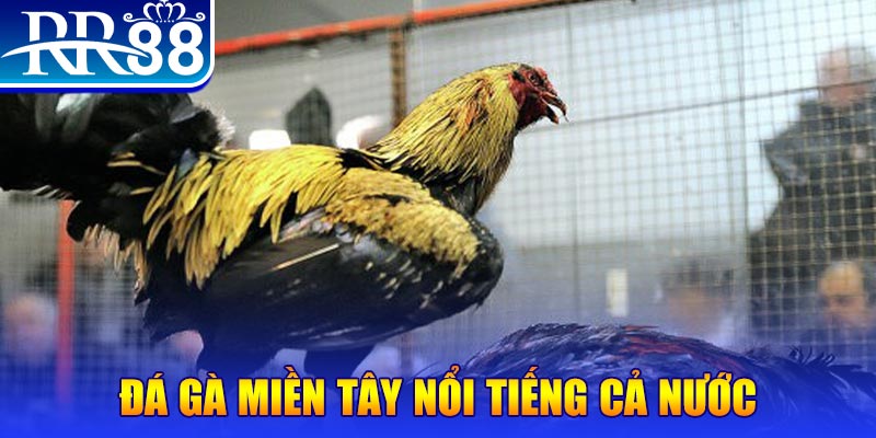 hot51 JILI Game Bài 3d