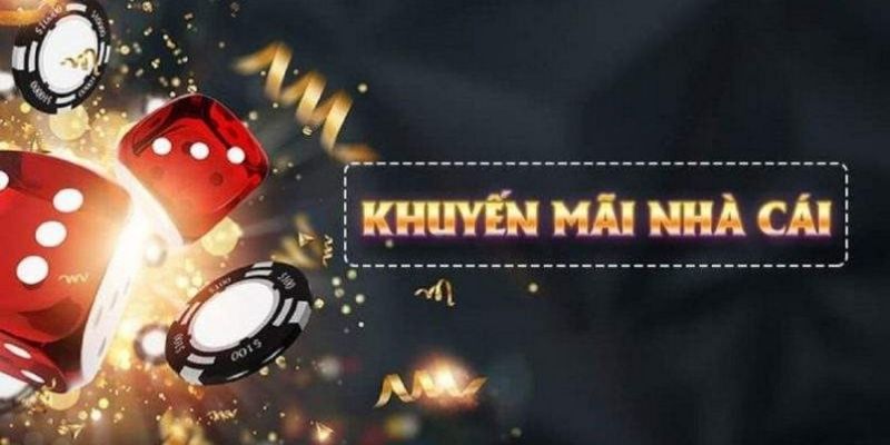 hot51 what is live dealer casino