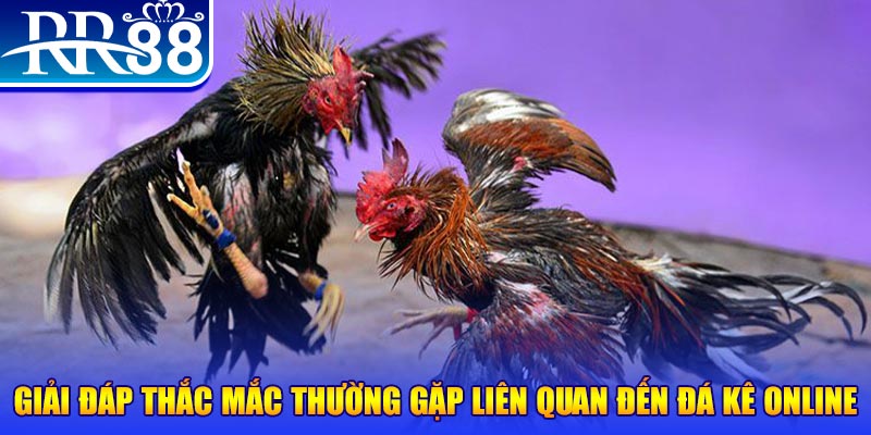 hot51 xổ số đà lạt