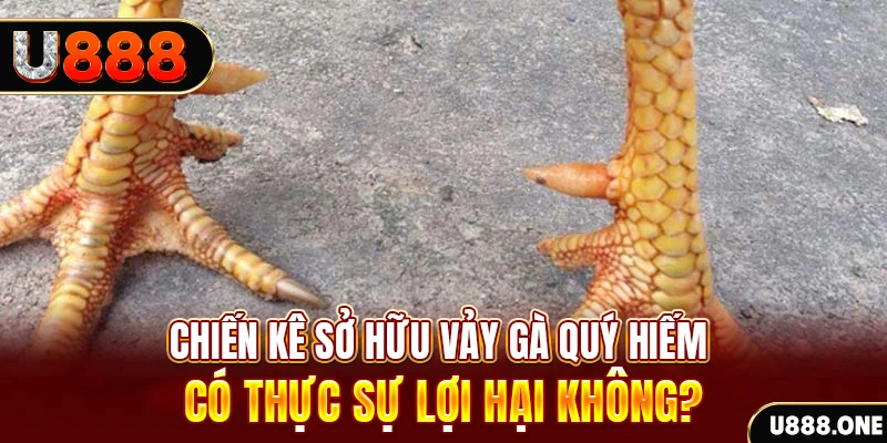 hot51 nohu .mx nổ hủ là gì