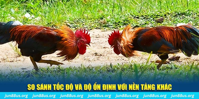 hot51 đá gà hôm nay