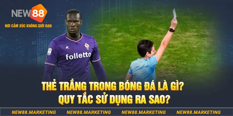 hot51 gà chọi mộc hóa
