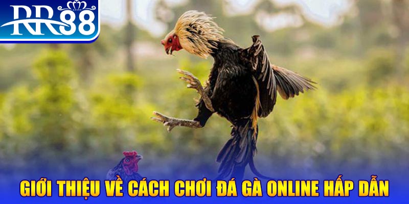 hot51 game nổ hũ rút tiền mặt là gì