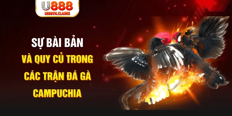 hot51 YGR Điện Tử