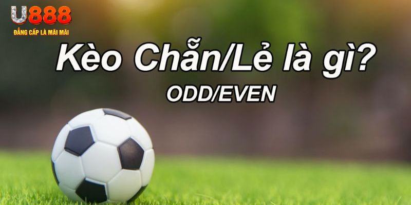 hot51 đăng nhập poker hôm nay