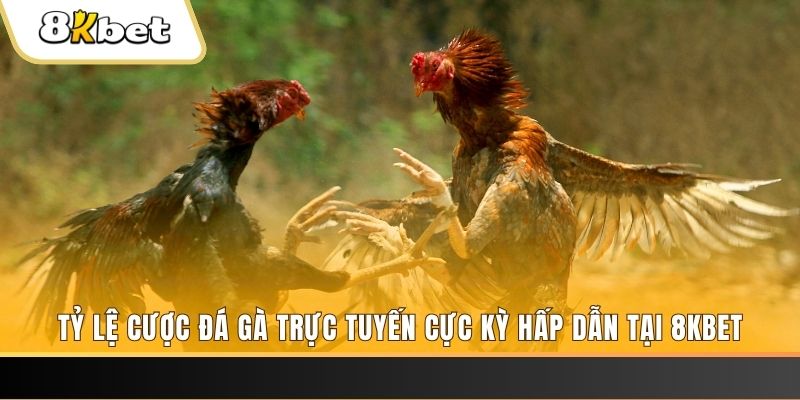 hot51 đăng nhập phỏm trực tiếp