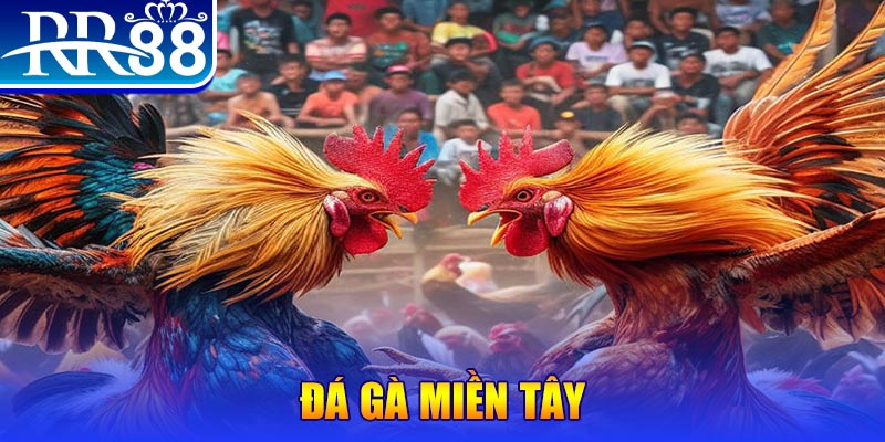 hot51 đăng nhập nổ hũ