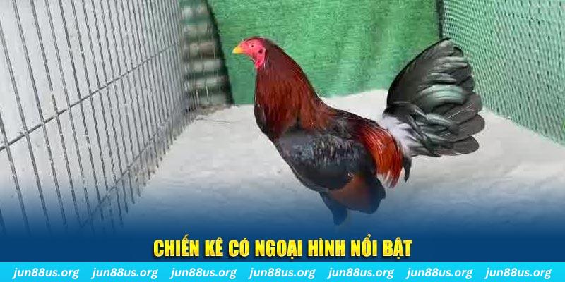 hot51 chạy quảng cáo cho game bài bị phạt như thế nào