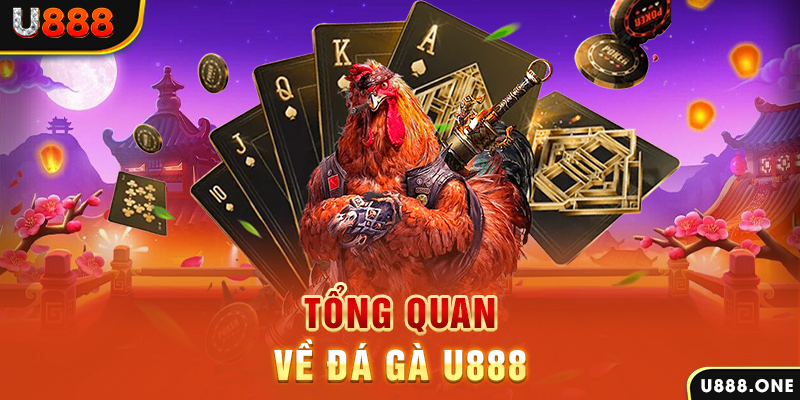 hot51 ILOVEU Điện Tử