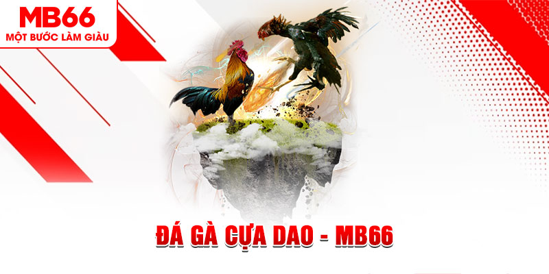 hot51 đá gà sv388 gold