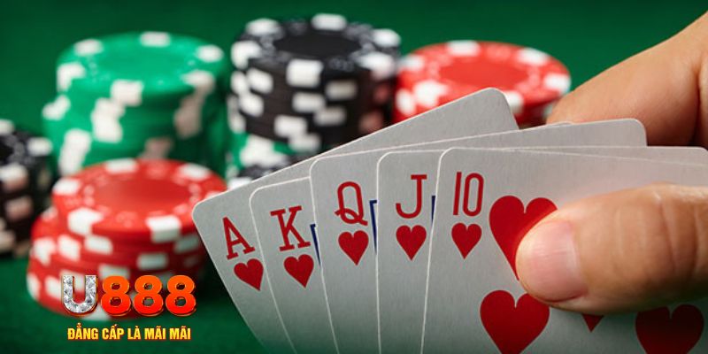 hot51 đá gà trực tiếp thomo 67